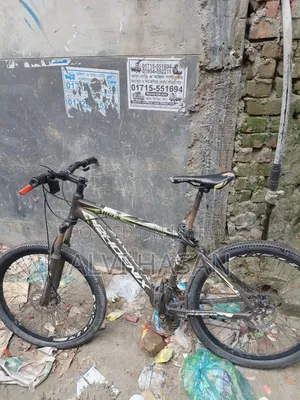 Phoenix Cycle