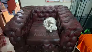 প্রিমিয়াম চেস্টারফিল্ড সোফা!