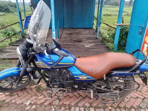 Bajaj Avenger 150 Street 2019 Blue
