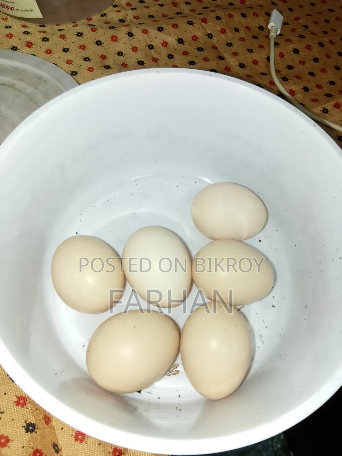 জাপানিজ ব্যান্টাম মুরগির বীজ ডিম