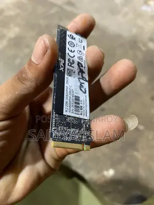 Xpg Sx8200 Pro M.2 256 Gb