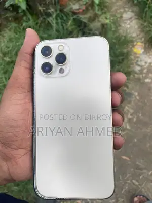 অ্যাপল আইফোন ১২ প্রো ম্যাক্স ২৫৬ জিবি রোজ গোল্ড