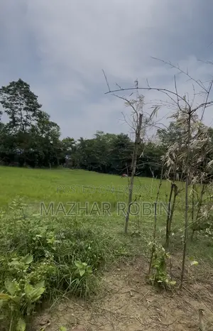 জায়গায় বিক্রি ফেনী মোহাম্মদ আলী বাজার