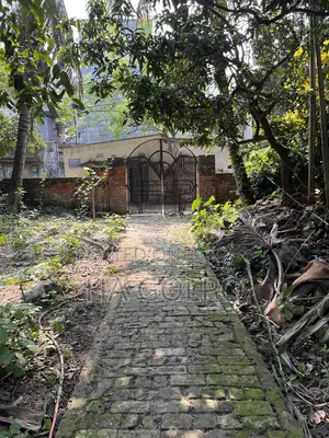 Ancestral Property Land