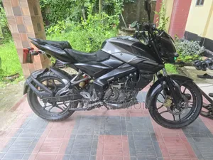 Bajaj Pulsar NS 160 2018 Gray