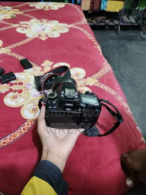 Canon 80d With 50mm Prime Lens