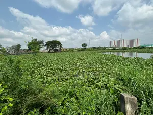 জমি বিক্রয় হবে- ২৬ শতাংশ আহমেদ হাউজিং সোসাইটি। গাবতলীর কাছে।