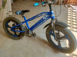 Two Bicycles for Sale (Phonix and Hero)