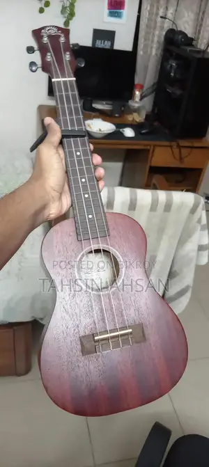 ইউকুলেলে খুব ভালো