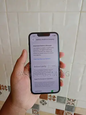 অ্যাপল আইফোন ১৩ মিনি ২৫৬ জিবি ব্লু
