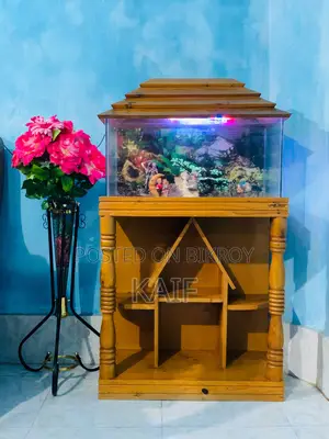 অ্যাকোয়ারিয়াম
