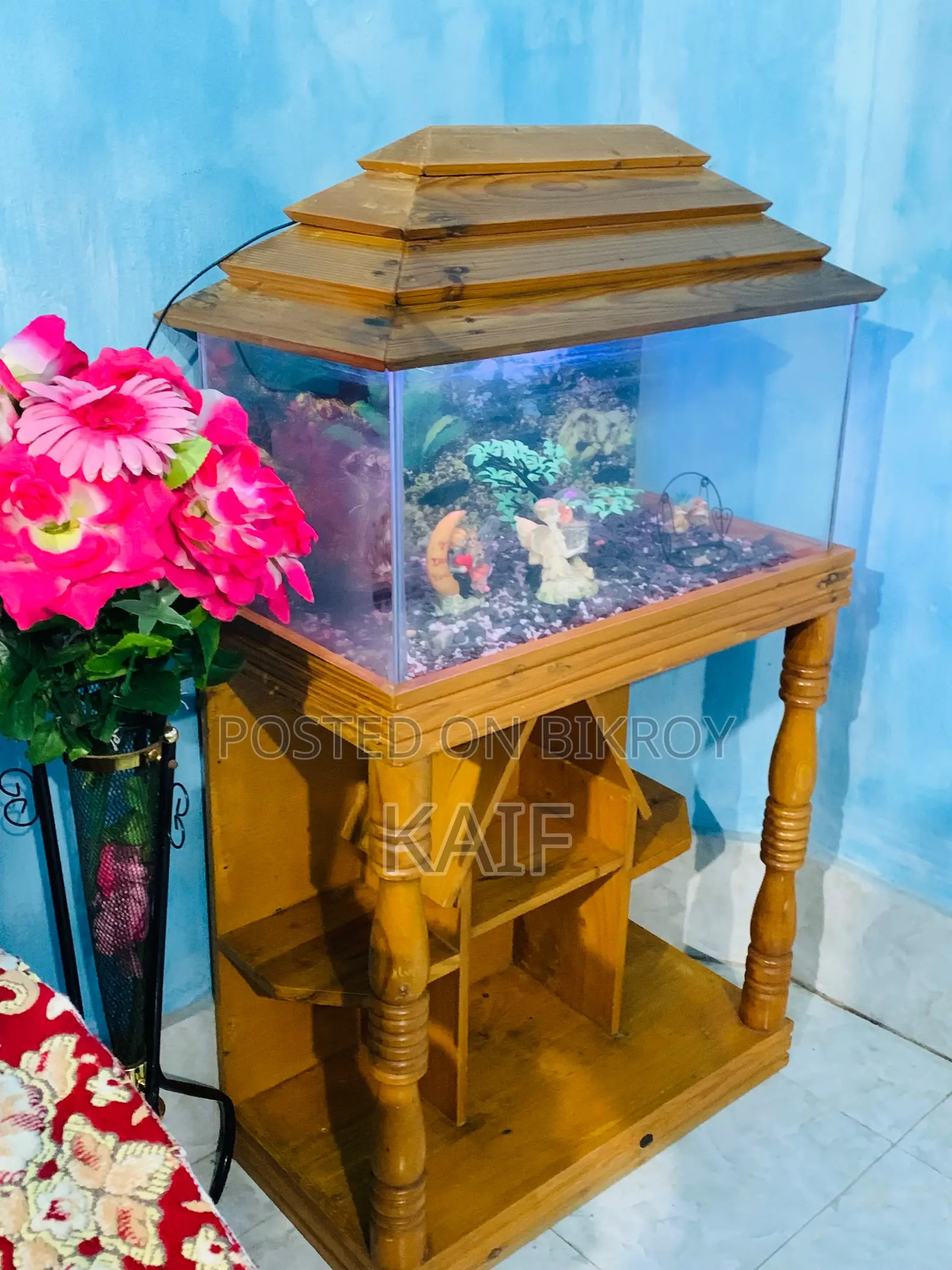 অ্যাকোয়ারিয়াম