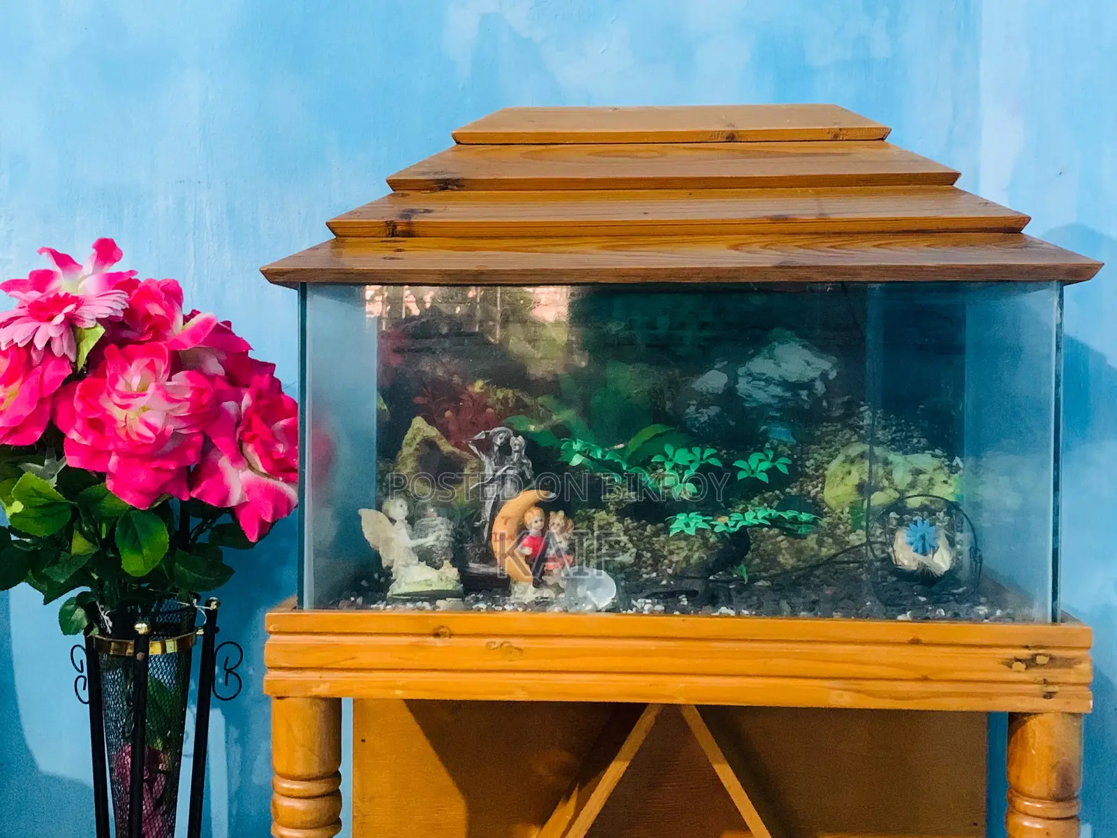 অ্যাকোয়ারিয়াম