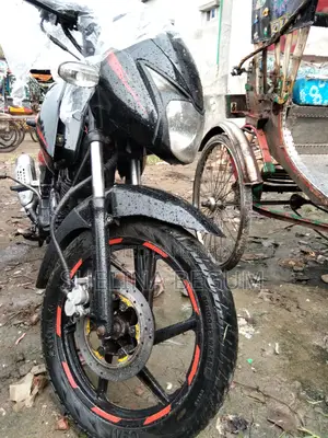 Bajaj Pulsar 150 2010 Black