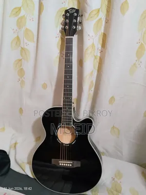 Q.Te Q23 Acoustic Guitar for Sale