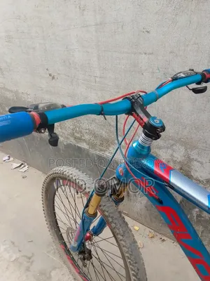 Avon Cycle