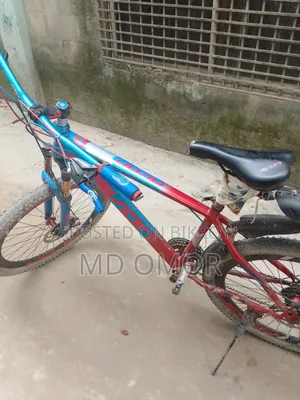 Avon Cycle