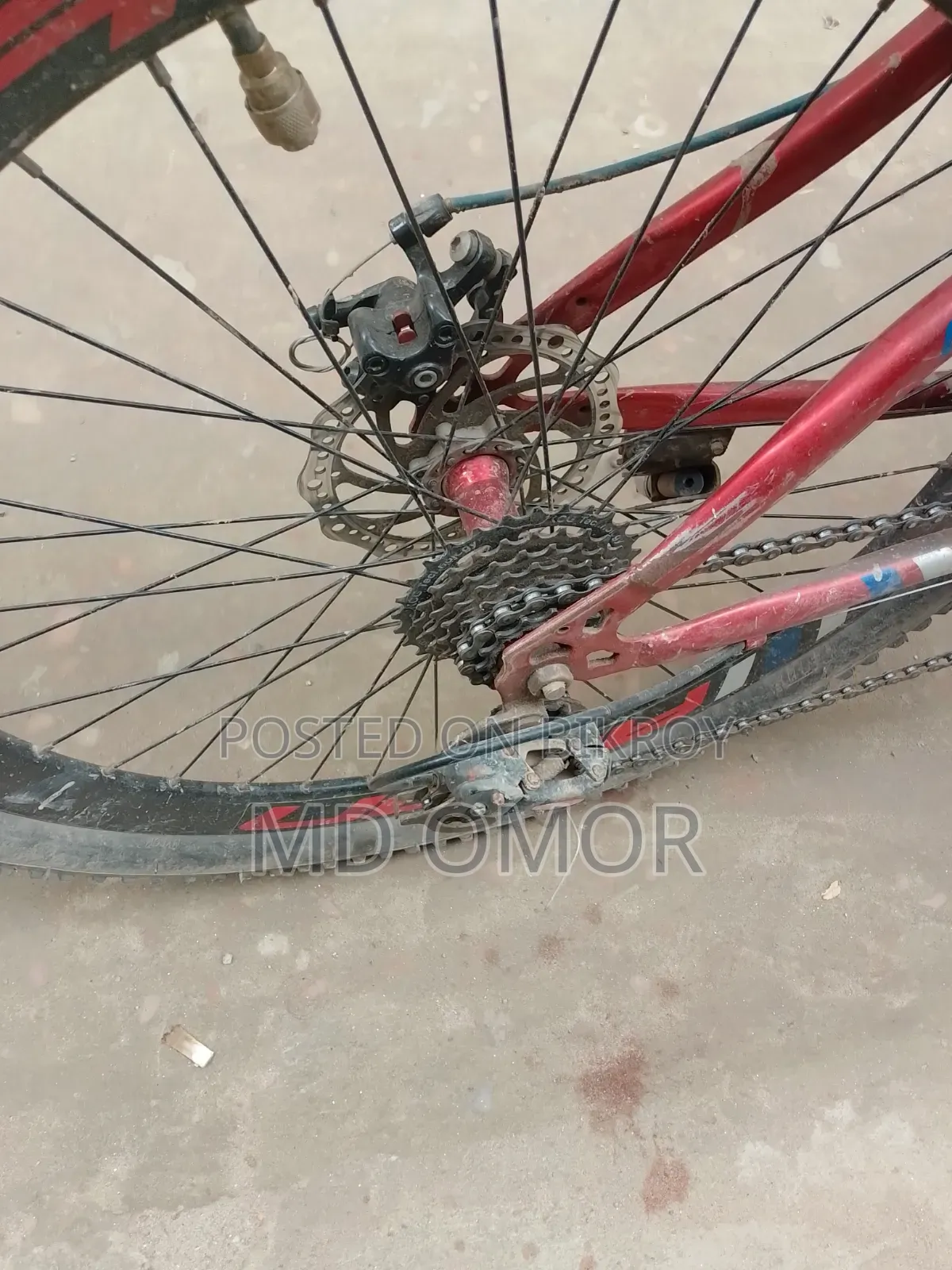 Avon Cycle