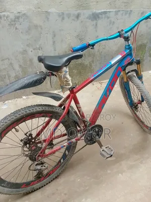 Avon Cycle