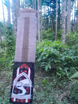 Fully Customized Cricket Bat