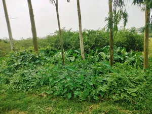 ইমারজেন্সী রাস্তার সাথে ১০ শতাংশ জমি বিক্রি করা হবে।