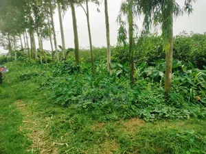 ইমারজেন্সী রাস্তার সাথে ১০ শতাংশ জমি বিক্রি করা হবে।
