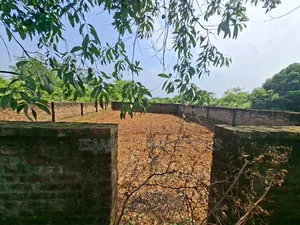 3 Katha plot for sale near 150 ft road, Sector 29