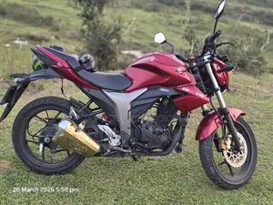 সুজুকি জিক্সার মনোটোন ২০২৩