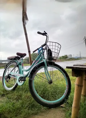 Avon Ledies Cycle