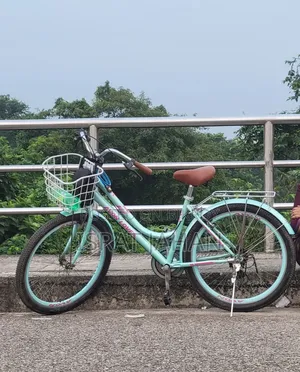 Avon Ledies Cycle