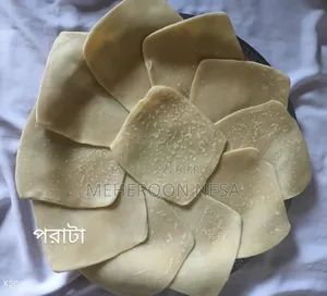 Frozen Paratha