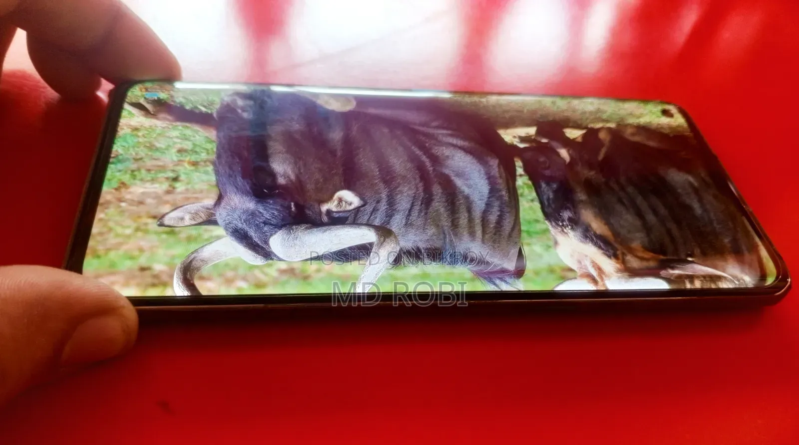 Oppo Reno5 Pro 5G 256 GB