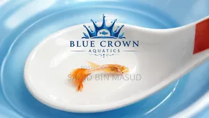 Albino Platinum Red Topaz