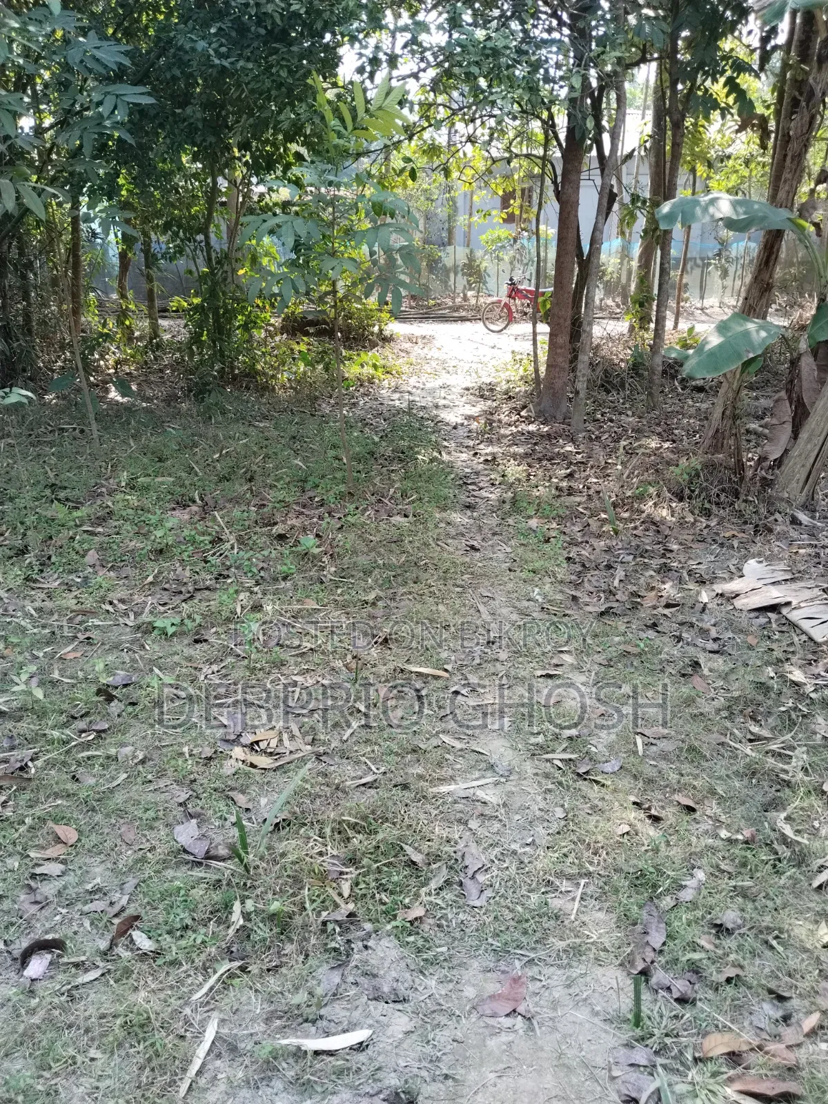 Land for sale
