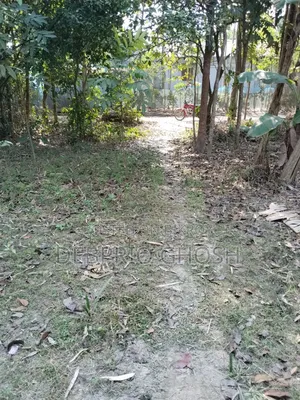 Land for sale