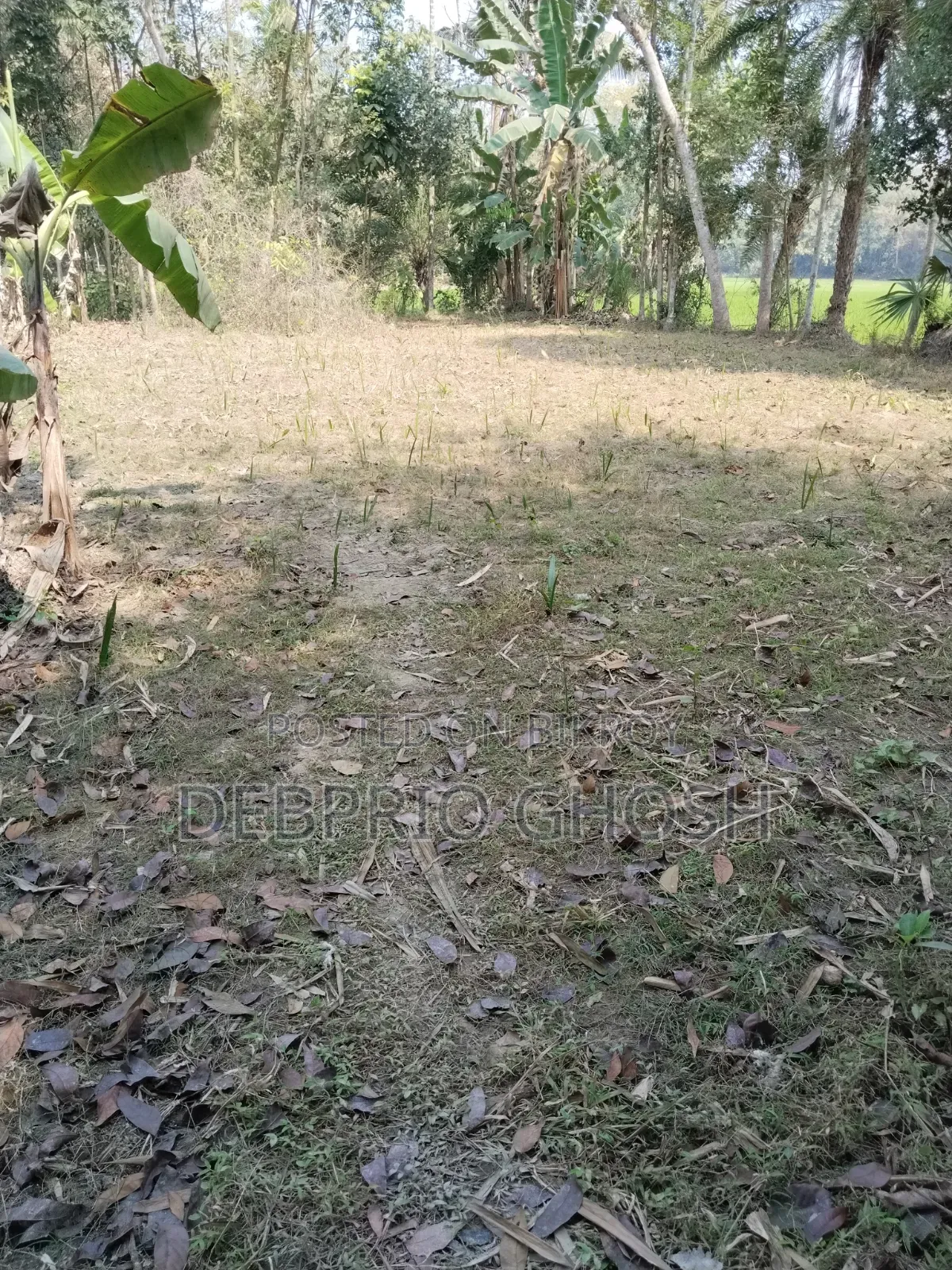 Land for sale