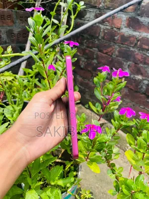 ওপ্পো এ৬ প্রো ২৫৬ জিবি পিঙ্ক