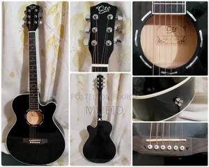 Q.Te Q23 Acoustic Guitar for Sale