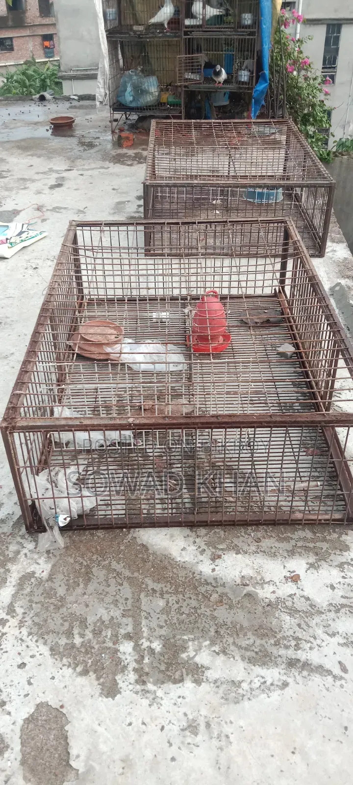 মুরগির খাঁচা