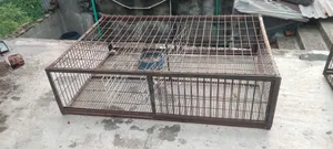 মুরগির খাঁচা