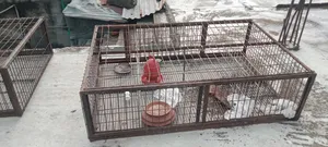 মুরগির খাঁচা