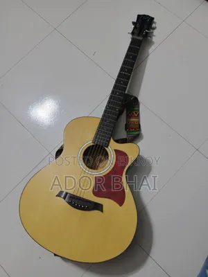 টিজিএম গিটার