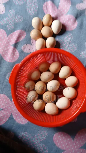 চিনা মুরগির ডিম বিক্রি করা হবে