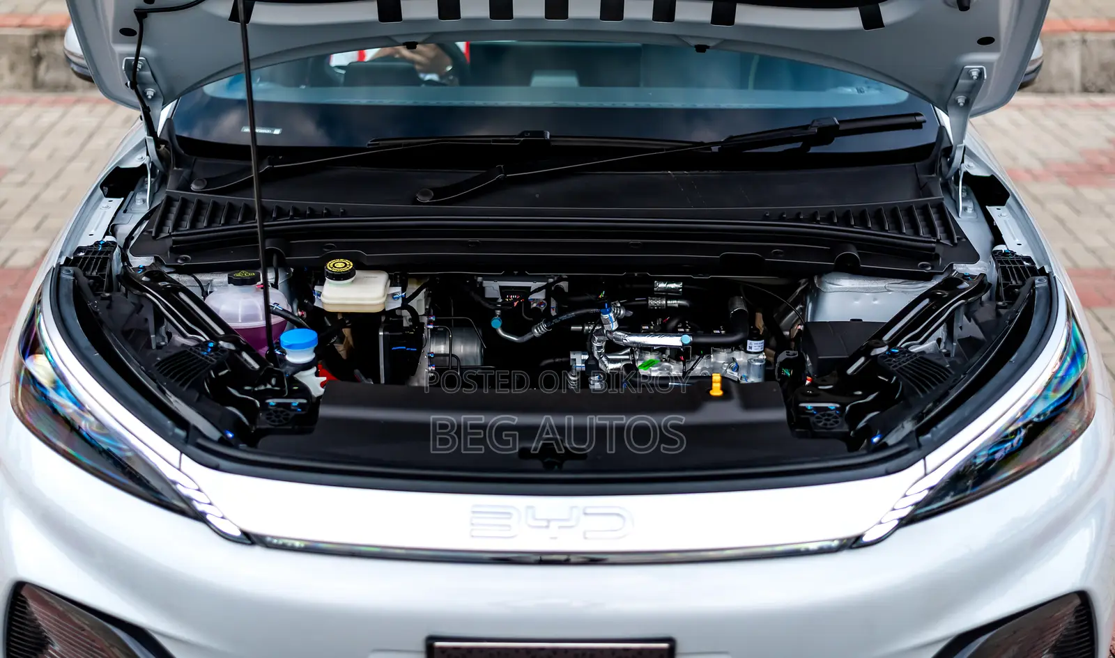 New BYD ATTO 3 Dynamic 2026 White