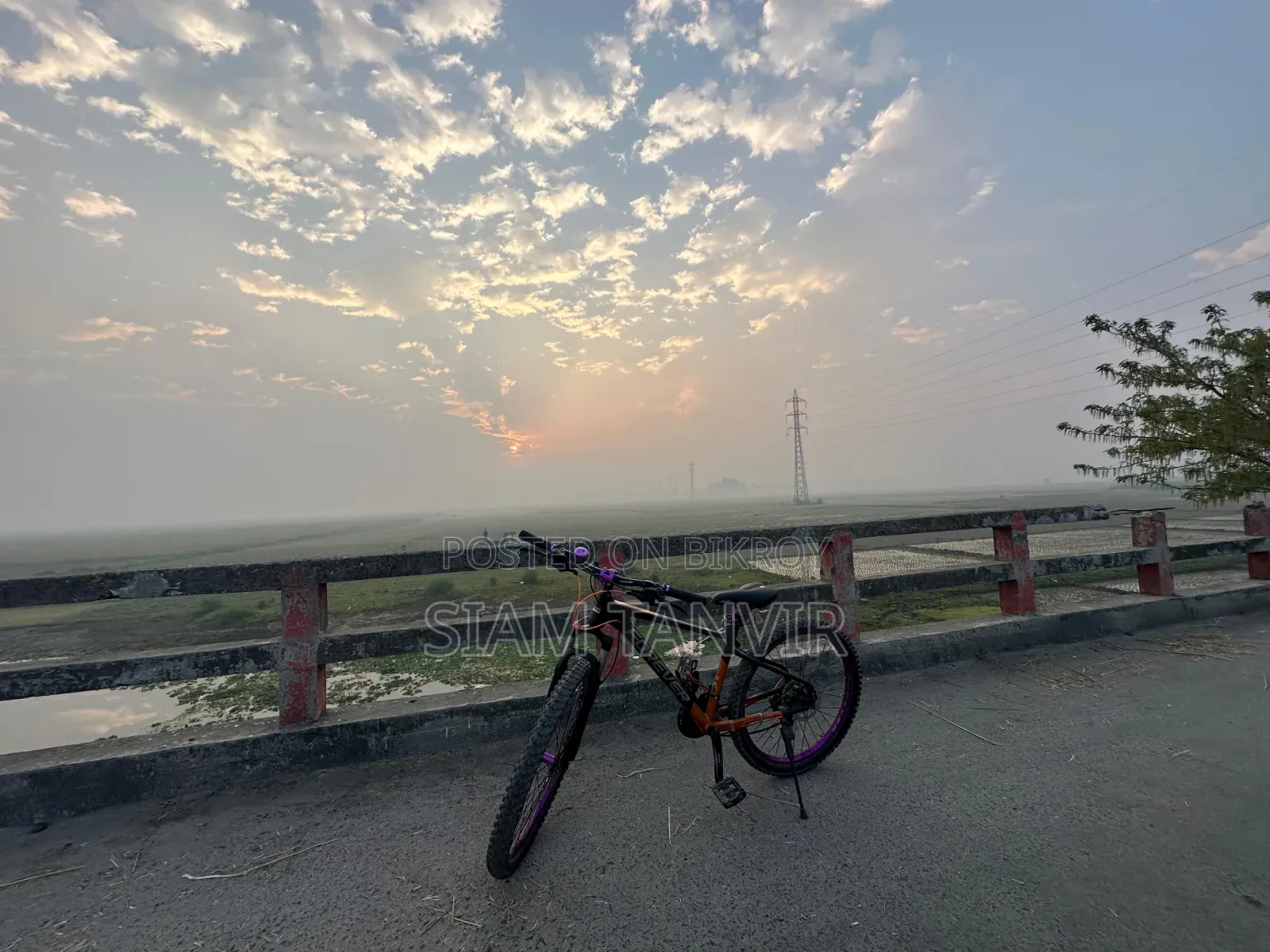 নিউ কাস্টম বিল্ট মোটরসাইকেলস প্রো স্ট্রিট ২০২৬ ব্ল্যাক