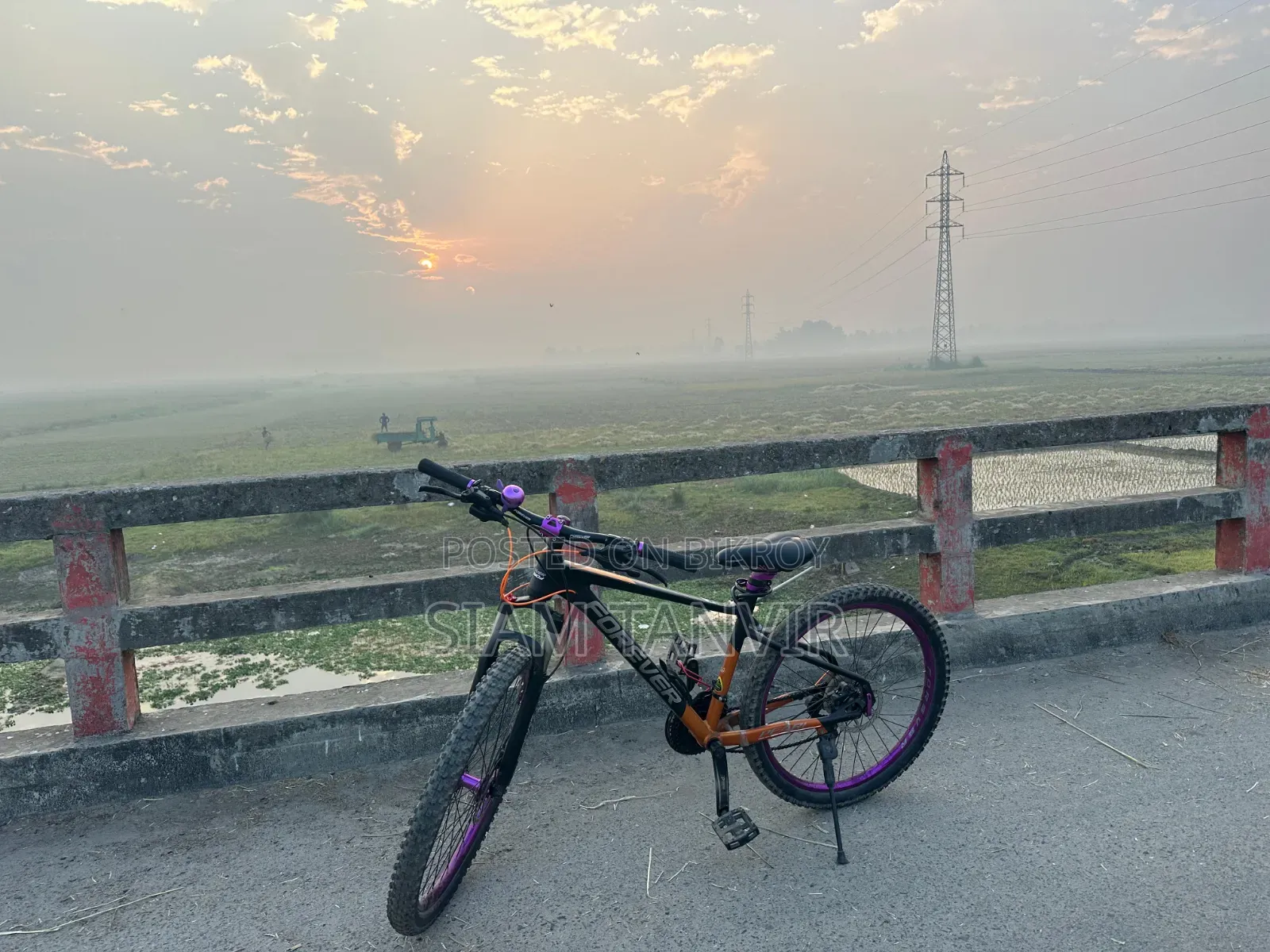 নিউ কাস্টম বিল্ট মোটরসাইকেলস প্রো স্ট্রিট ২০২৬ ব্ল্যাক