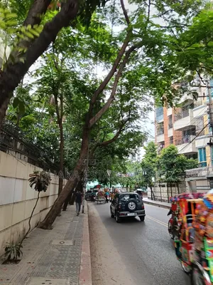 Dhanmondi 20 Katha Plot Sale