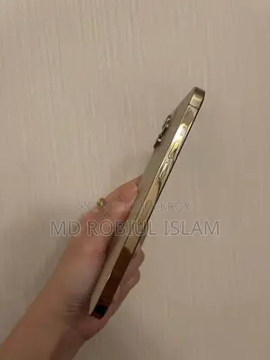 অ্যাপল আইফোন ১২ প্রো ম্যাক্স ১২৮ জিবি গোল্ড
