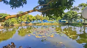 শিশুপার্ক সহ জমি বিক্রয় হবে