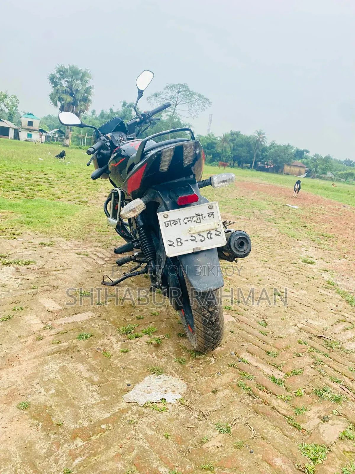 Bajaj Pulsar 150 2015 Black